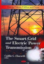 Smart Grid & Electric Power Transmission