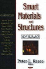 Smart Materials & Structures