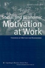 Social & Economic Motivation at Work