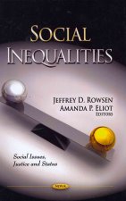 Social Inequalities