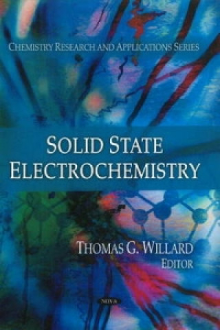 Solid State Electrochemistry