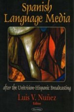 Spanish Language Media after the Univision-Hispanic Broadcasting