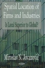Spatial Location of Firms & Industries