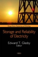 Storage & Reliability of Electricity