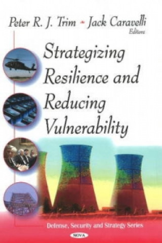 Strategizing Resilence & Reducing Vulnerability