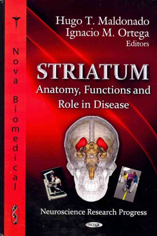 Striatum