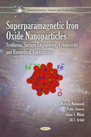 Superparamagnetic Iron Oxide Nanoparticles