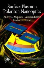 Surface Plasmon Polariton Nanooptics