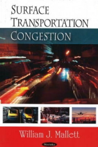 Surface Transportation Congestion