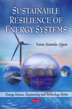 Sustainable Resilience of Energy Systems
