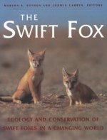 Swift Fox