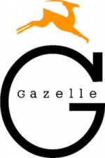 Terrorism