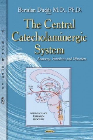 Central Catecholaminergic System