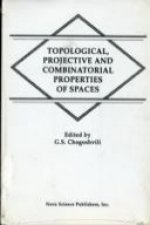 Topological, Projective & Combinatorial Properties of Spaces