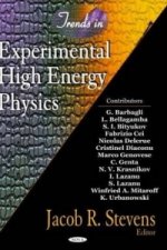 Trends in Experimental High Energy Physics