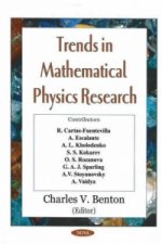 Trends in Mathematical Physics Research