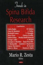 Trends in Spina Bifida Research