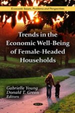 Trends in the Economic Well-Being of Female-Headed Households