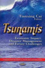 Tsunamis