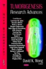 Tumorigenesis Research Advances