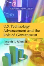 U.S. Technology Advancement and the Role of Government