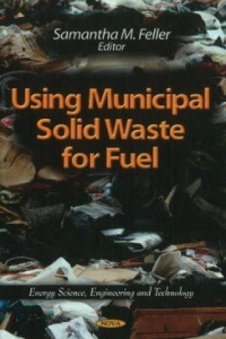 Using Municipal Solid Waste for Fuel