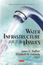 Water Infrastructure Issues