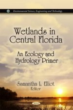 Wetlands in Central Florida