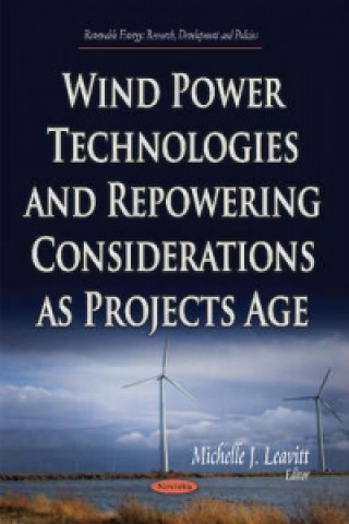 Wind Power Technologies & Repowering Considerations as Projects Age