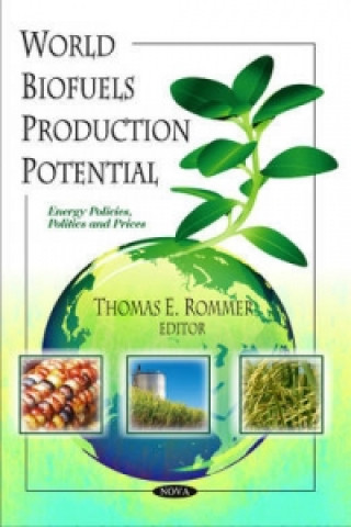 World Biofuels Production Potential