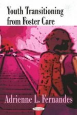 Youth Transitioning From Foster Care