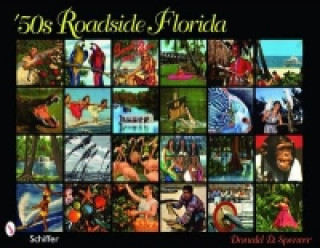 50s Roadside Florida