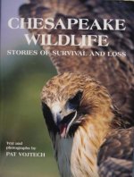 Chesapeake Wildlife: Stories of Survival and Ls