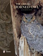 Great Horned Owl: An In-depth Study