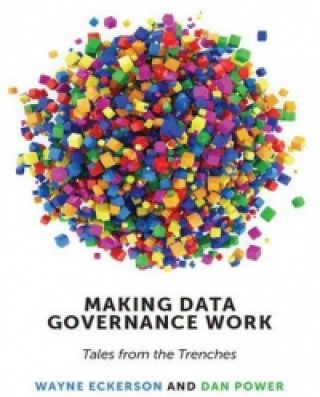 Making Data Governance Work