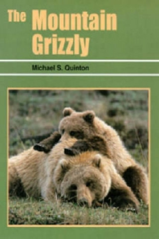 Mountain Grizzly