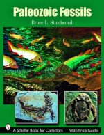 Paleozoic Fsils  Firm