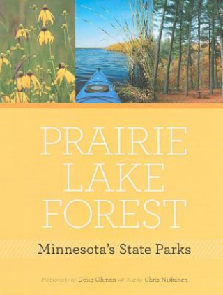 Prairie, Lake, Forest