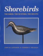 Shorebirds