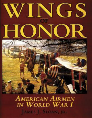 Wings of Honor: American Airmen in Wwi