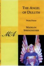 Angel of Duluth