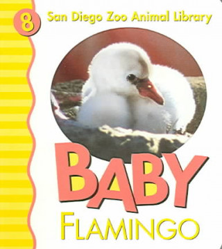 Baby Flamingo