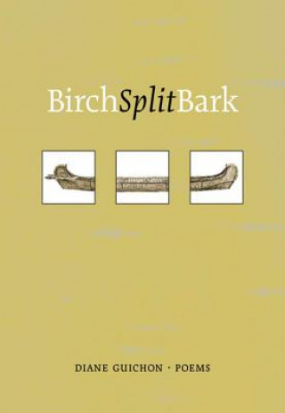 Birch Split Bark
