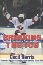 Breaking the Ice