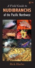 Field Guide to Nudibranchs of the Pacific Northwest