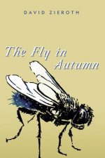 Fly in Autumn