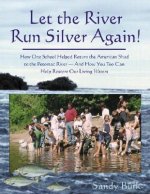 Let the River Run Silver Again!