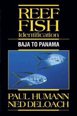 Reef Fish Identification