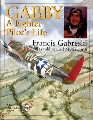 Gabby: A Fighter Pilot's Life: A Fighter Pilots Life