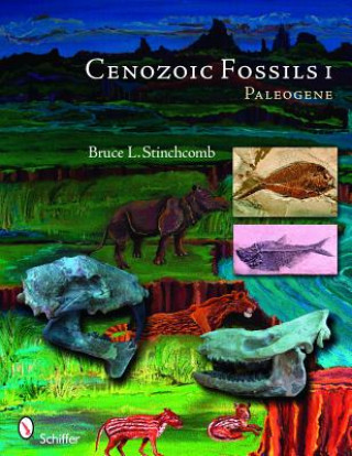 Cenozoic Fossils 1
